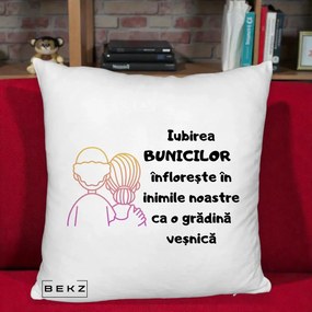 Cadou pentru Bunici - Perna Personalizata Iubirea Bunicilor Infloreste Cuplu Line Art Gradient, 40x40 cm, Alb Pufos, Husa Detasabila, Perna Inclusa, BEKZ®