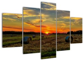 Tablou - Baloți din sat (150x105 cm)