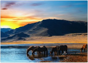 Tablou - Alimentarea cu energie electrică (70x50 cm)