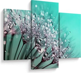 Tablou - planta cu rouă (90x60 cm)
