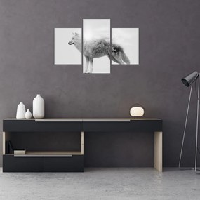 Tablou - Lupul arctic oglindit în peisajul sălbatic, alb-negru (90x60 cm)