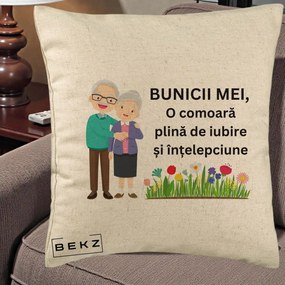 Cadou pentru Bunici - Perna Personalizata Bunicii Mei Comoara Cuplu Senior cu Flori Colorat, 40x40 cm, Bej, Husa Detasabila, Perna Inclusa, BEKZ®