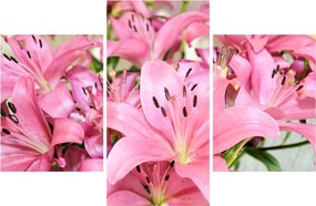 Tablou - Liliac roz (90x60 cm)