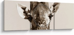 Tablou - Portret de girafă, de epocă (cu ceas) (90x30 cm)
