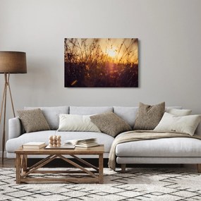 Tablou - Câmp la apus de soare (90x60 cm)