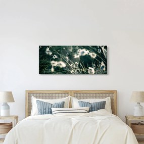 Tablou - Pânză de păianjen (120x50 cm)