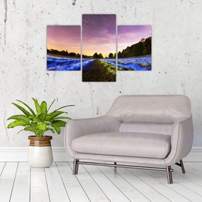 Tablou cu câmp colorat (90x60 cm)