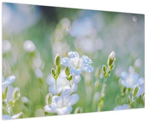 Tablou - Flori delicate (90x60 cm)