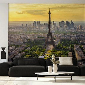 Fototapet - Panorama Parisului (147x102 cm)