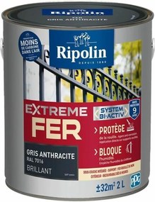 Vopsea de Grund Ripolin Gri 2 L