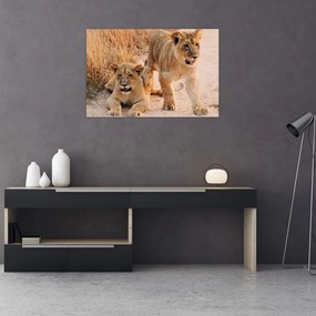 Tablou cu pui de leu (90x60 cm)