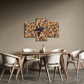 Tablou cu stea de mare (90x60 cm)