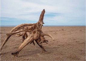 Tablou - Inundație de mare (70x50 cm)