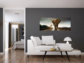 Tablou cu elefant (120x50 cm)