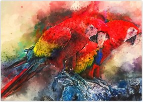 Tablou - Papagali roșii ara (70x50 cm)