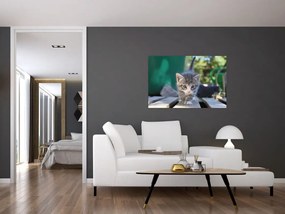 Tablou cu pisicuțe (90x60 cm)