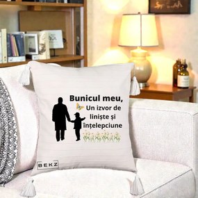 Cadou pentru Bunic - Perna Personalizata Bunicul Meu Izvor de Liniste cu Fluture si Baietel, 40x40 cm, Bej cu Franjuri, Husa Detasabila, Perna Inclusa, BEKZ®