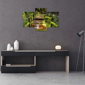Tablou cu scări într-o pădure tropicală (90x60 cm)