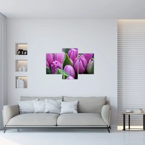 Tablou - florile lalelelor (90x60 cm)