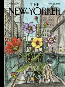 Ilustrație The NY Magazine Cover 06