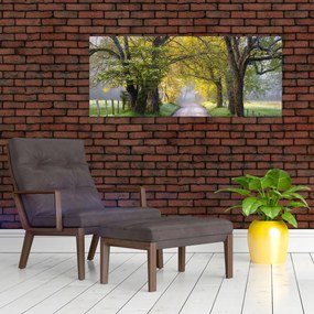 Tablou - Smoky Mountains, Gatlinburg, SUA (120x50 cm)