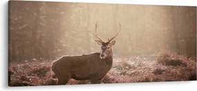 Tablou - Cerb în pădure (120x50 cm)