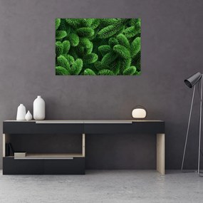 Tablou - Ramuri de conifere (90x60 cm)