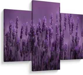Tablou - Lavanda (90x60 cm)
