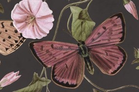 Fototapet, Butterflies, Midnight, Rebel Walls