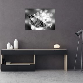 Tablou - Detailu cu fluture care polenizează floare (70x50 cm)