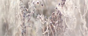 Tablou - Plante (120x50 cm)