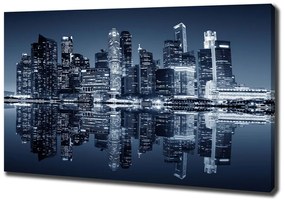 Pictură pe pânză Singapore timp de noapte