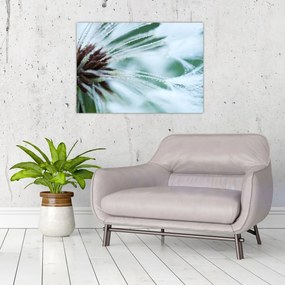 Tablou - Detaliu floare (70x50 cm)