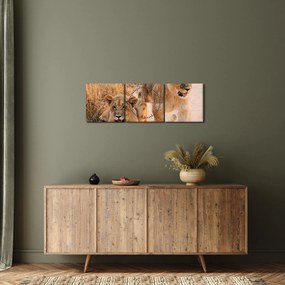 Tablou - Pui de leu (cu ceas) (90x30 cm)
