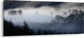 Tablou cu ceță deasupra pădurii (120x50 cm)