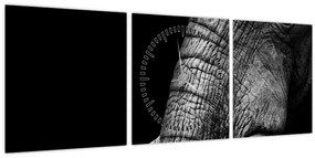 Tablou - Colți de elefant (cu ceas) (90x30 cm)