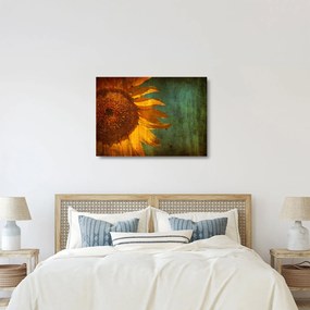 Tablou pe sticlă - Floarea soarelui (70x50 cm)