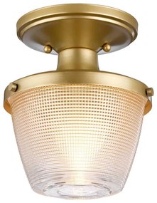 Plafonieră pentru baie Quoizel QZ-DUBLIN-SF-PNBR DUBLIN 1xE27/40W/230V IP44 auriu