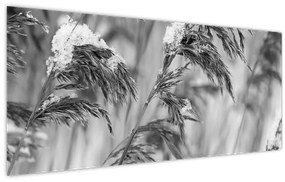 Tablou - Tei,alb-negru (120x50 cm)