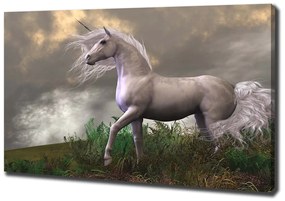 Tablou canvas Unicorn gri