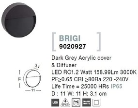 Aplica de perete pentru iluminat exterior IP65 BRIGI