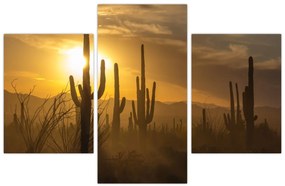 Tablou - Cactuși Saguaro (90x60 cm)