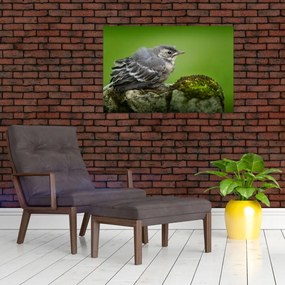 Tablou - Muscarul (90x60 cm)