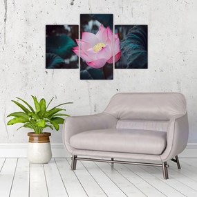 Tablou cu floare roz (90x60 cm)