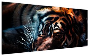 Tablou cu tigrul dormind (120x50 cm)