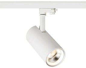 PRODIGI