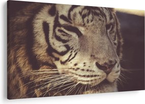 Tablou cu tigrul (90x60 cm)