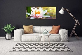 Tablou pe panza canvas Flori Floral Alb Roz