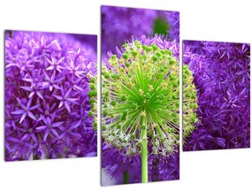 Tablou cu floare (90x60 cm)