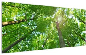 Tablou - Lunca (120x50 cm)